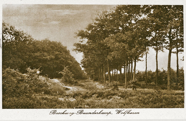 Boschweg Buunderkamp