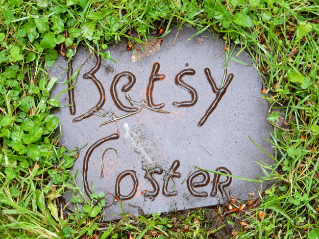 Betsy Coster