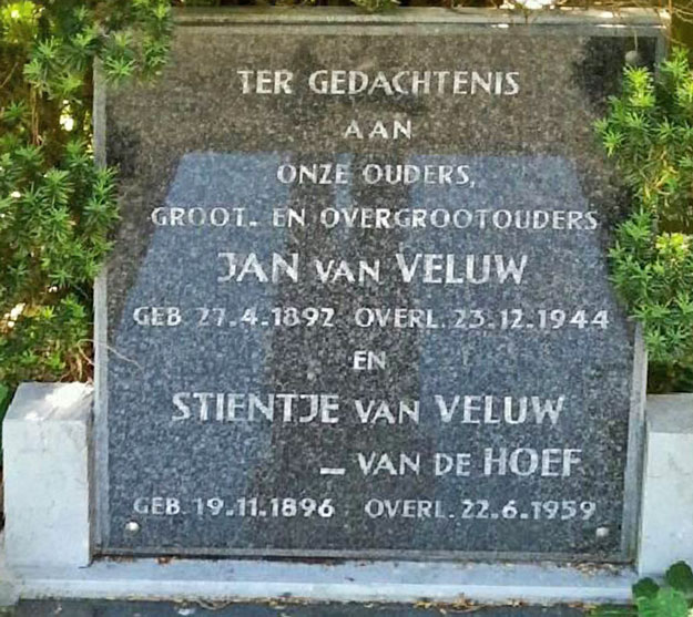 Jan van Veluw